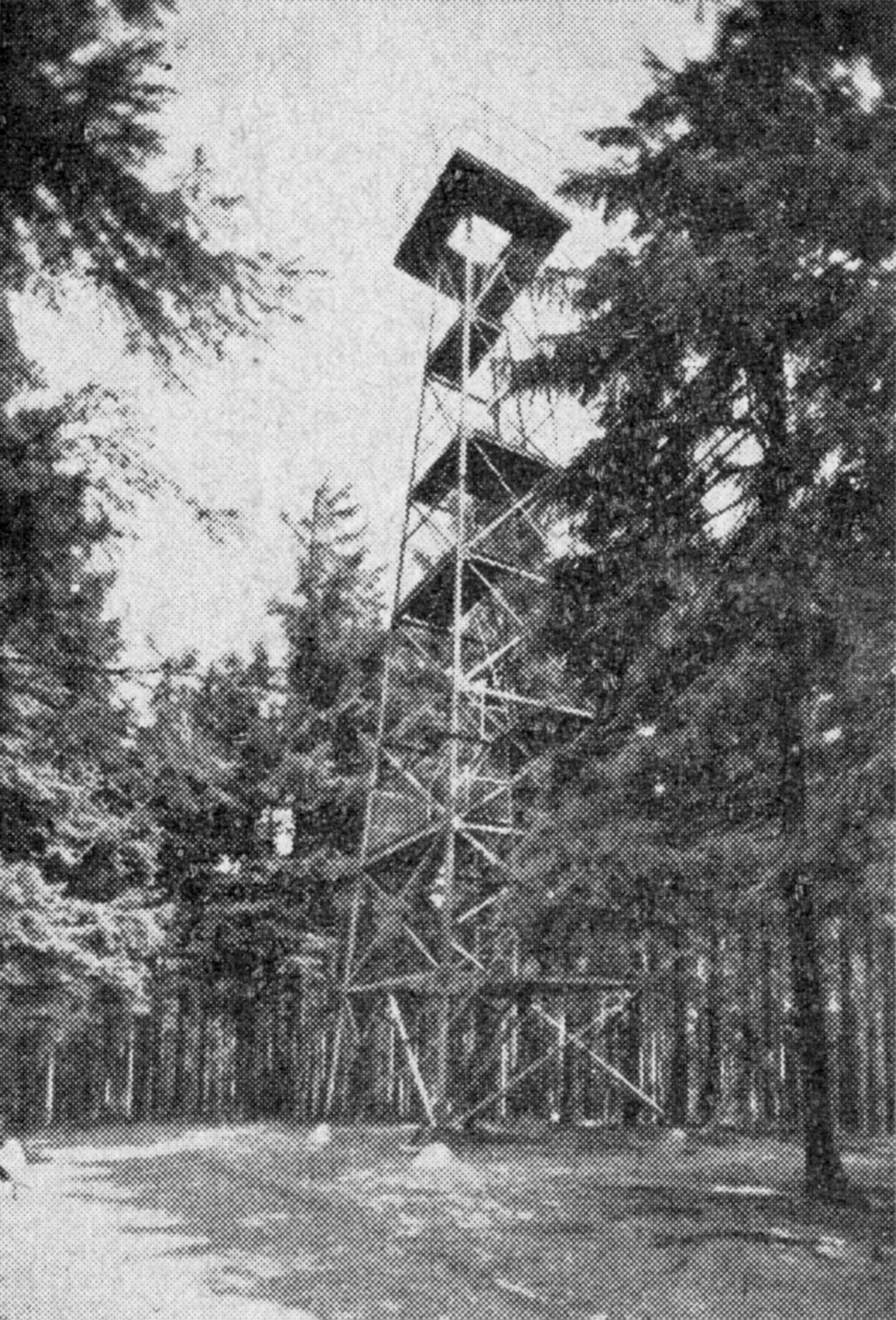 Raabeturm im Hils bei Eschershausen